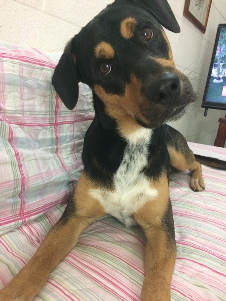 Imagen de publicación